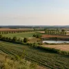 Farmv fr blog business finance : comprendre la finance durable appliquée aux territoires agricoles