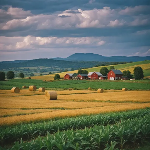 Comprendre la convention collective du crédit agricole